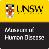 Museum icon