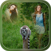 Transparent Wild Animal Photo Frame - Multi Photos icon