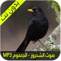 صوت الشحرور الاسود الجحموم on 9Apps