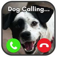 Fake Call Prank- Animals on 9Apps