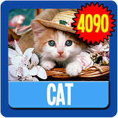Cat Wallpaper HD Complete icon