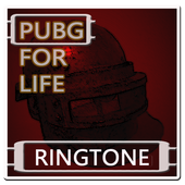 Pubg Mp3 Offline Songs icon