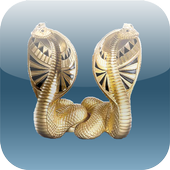 Kyubu Memory иконка