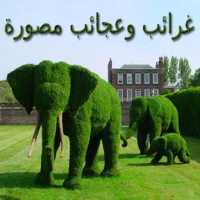 غرائب و عجائب مصورة on 9Apps