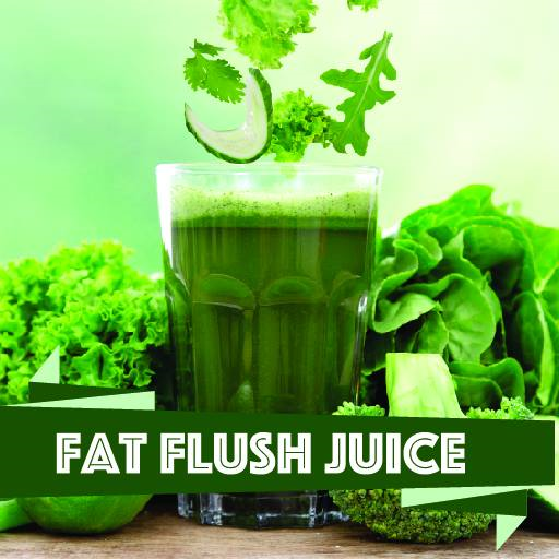 Fat Burning Juices icon