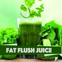 Fat Burning Juices on 9Apps