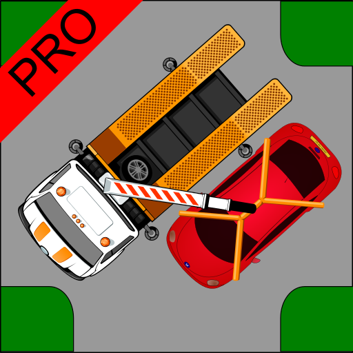 Driver Test: Parking Pro icon