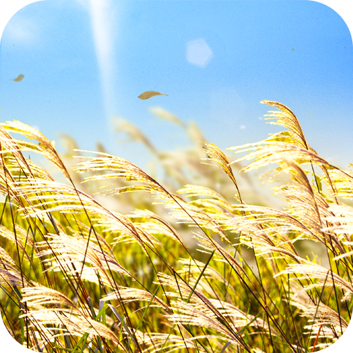 Natural Reed Live Wallpaper icon