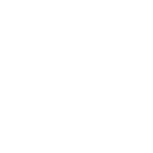 Wifi Infomation icon