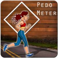 Pedometer Step Counter