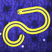 Snaking Snake Mutiplayer icon