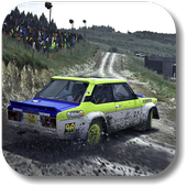 Rally 3D 2018 icon