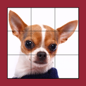 Dog Puzzles Extreme! icon