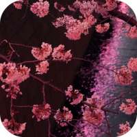 Japanese Sakura Garden Video Wallpapers Gallery on 9Apps