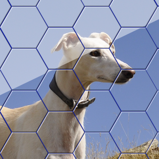 Hexa Jigsaw - Dogs jigsaw puzzle game icon