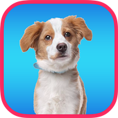 Dog Sounds Ringtones icon