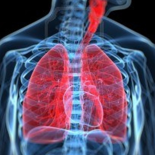 Respiratory System icon