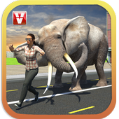 Elephant Racing Simulator 2016 icon