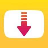 Video Downloader with VPN