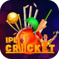 Cricket IPL 2021 - Live Cricket TV - Live Score