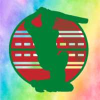 Local Cricket Scoring App