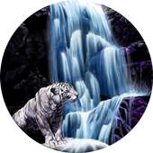 Waterfall live wallpaper on 9Apps