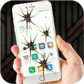 Spider on Screen Funny Joke