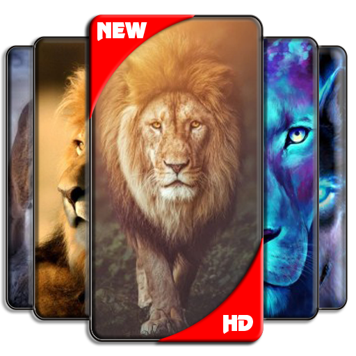 Lion Wallpaper icon