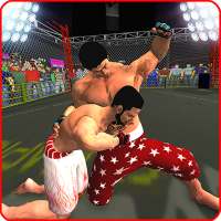 World Kick Boxing Pro:The fighting champion