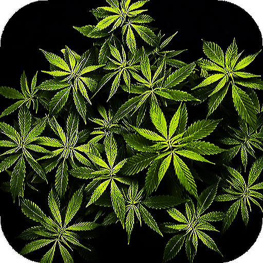 Weed Live Wallpaper - backgrounds hd icon