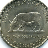 Shilling Money Wallpapers icon