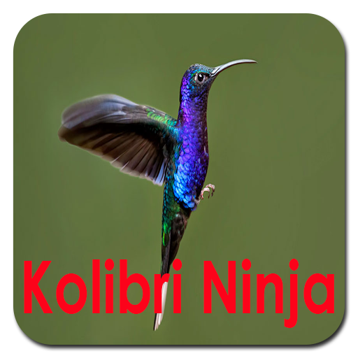 Masteran Kolibri Ninja Offline icon