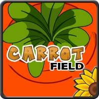 Carrot Field