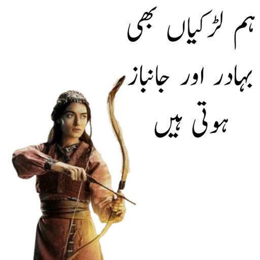 Funny Urdu Stickers icon