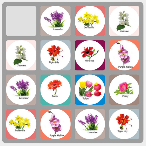 Flower Swap icon
