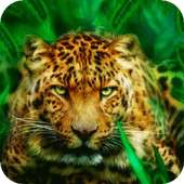 Hunting tiger on 9Apps