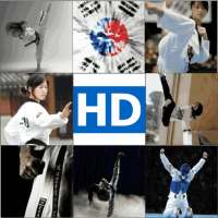 Taekwondo Martial Arts HD Wallpaper on 9Apps