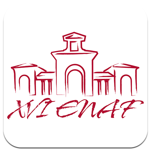 ikon XVI ENAF Albacete