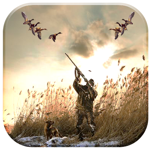 Duck Hunting 3D - Diver Ducks icon