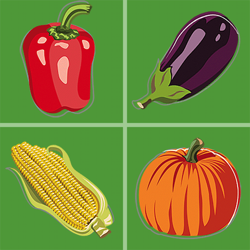 Veggie Match icon