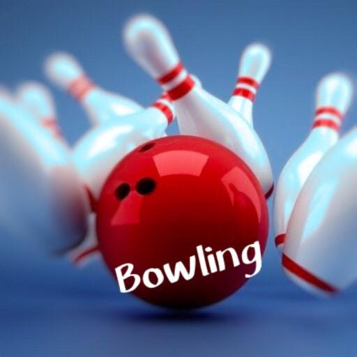 3D Pro Bowling icon