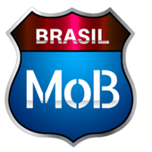 Skins WTDS e Proton Bus - MOB BRASIL icon