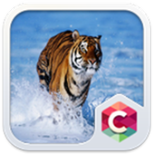 Tiger Theme C Launcher icon