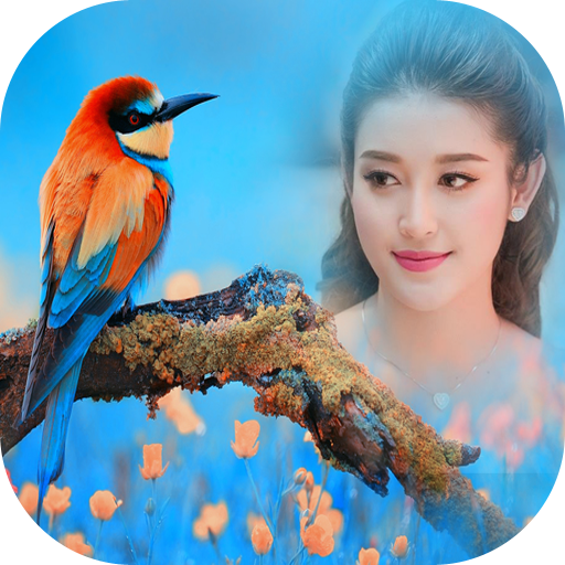 Birds Photo Frame New icon