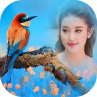 Birds Photo Frame New on 9Apps