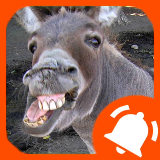 Ringtones de animais - Toques sonoros icon