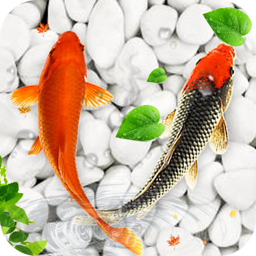Koi Fish Live Wallpaper: New Fish Backgrounds HD icon