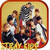 Stray Kids Best Songs 2019 - WITHOUT INTERNET -