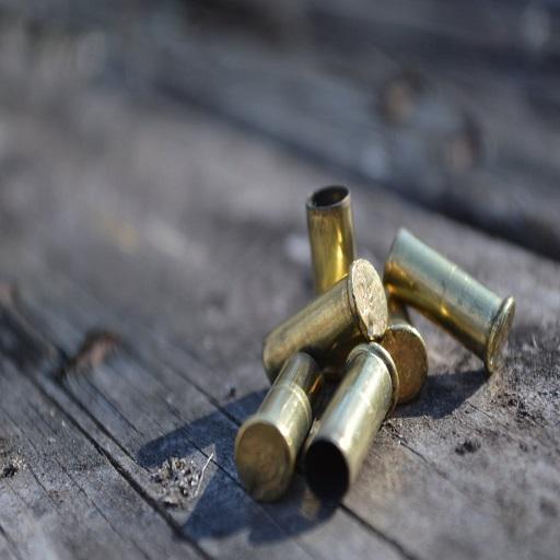 Bullet Casings Falling Sound icon