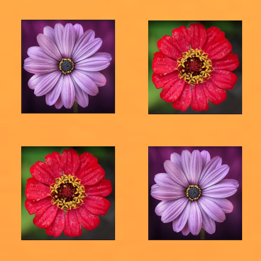 Memory Game Find the Same icon